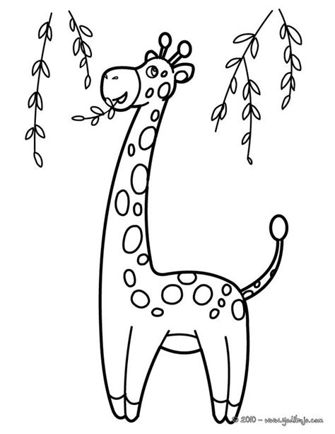 Moldes o patrones animados de jirafas para colorear   Imagui