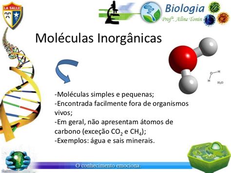Moleculas organicas e inorganicas