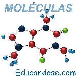 Moléculas Tipos, Definición y Conceptos | ⊛ 【 Educándose ...