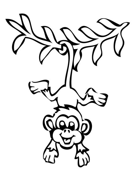 monkey coloring pages   Free Large Images