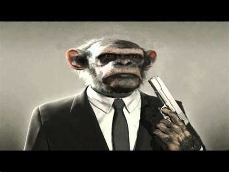mono con pistola   YouTube