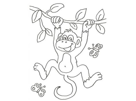 Mono para colorear   Imagui