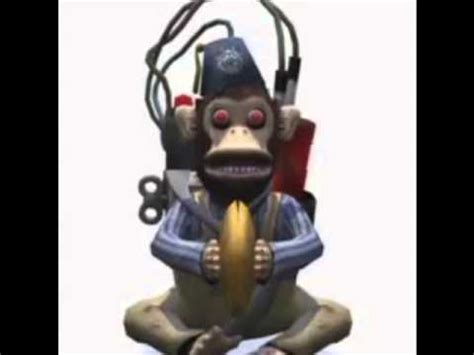 Monos Explosivos Canción   YouTube