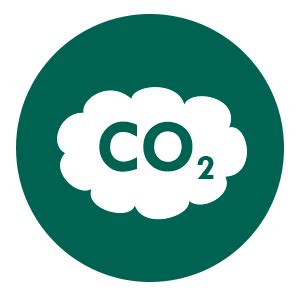 Monóxido de carbono y gases | Sermaez