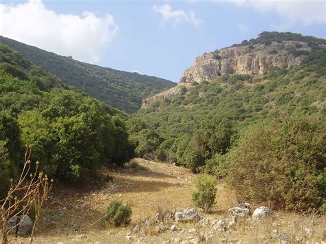 Monte Carmelo  Israel  – Wikipédia, a enciclopédia livre