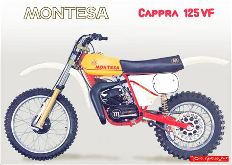 MontesaModelos5