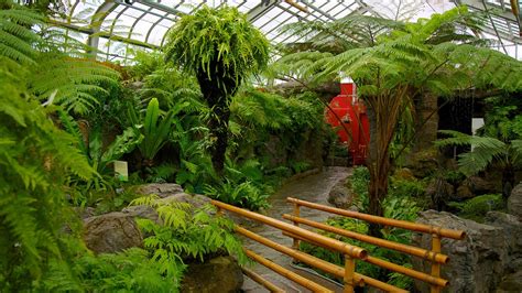 Montreal Botanical Garden in Montreal, Quebec | Expedia