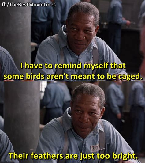 Morgan Freeman in The Shawshank Redemption  1994 ...