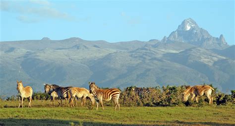 Mount Kenya Wildlife Conservancy and Animal Orphanage