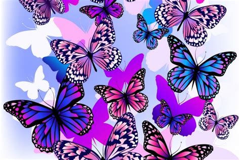 Muchas mariposas de colores  60109