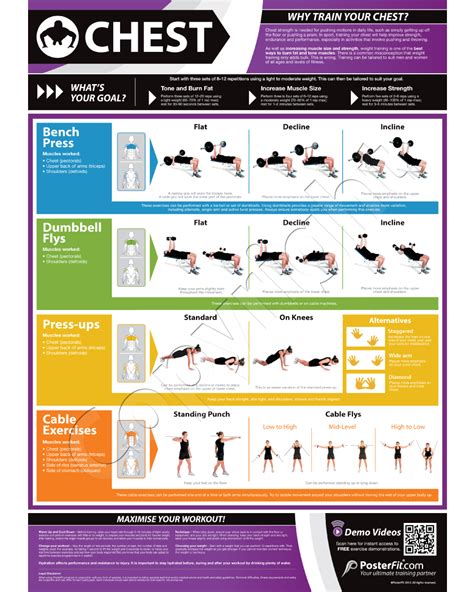Multi Gym Workout Chart | Chest Expander Exercise Chart ...