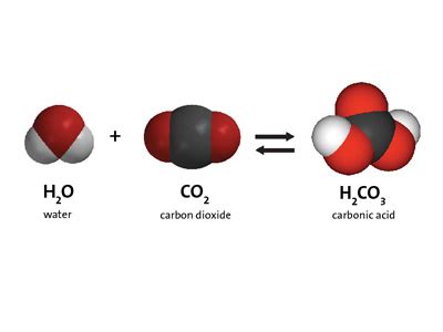 Multimedia: Carbon Dioxide Can Make a Solution Acidic ...