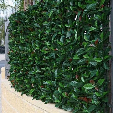 Muros verdes , plantas artificiales baratas | Renta ...