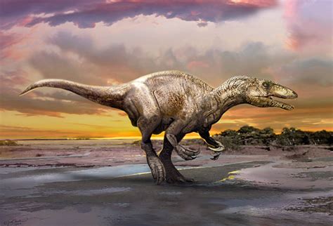 Murusraptor barrosaensis: New Dinosaur Species Discovered ...