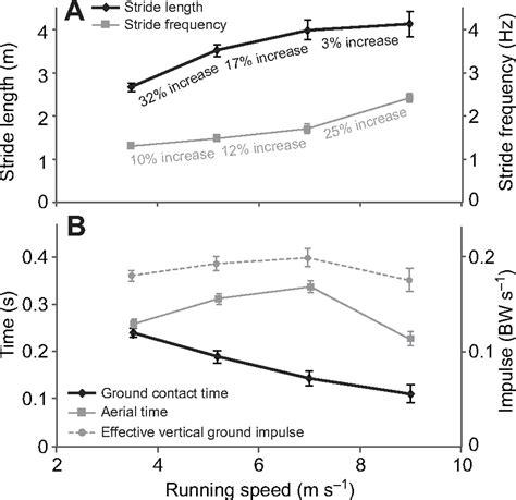 Muscular strategy shift in human running: dependence of ...