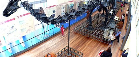 Museo de Ciencias Naturales ¡un gran plan en Madrid ...