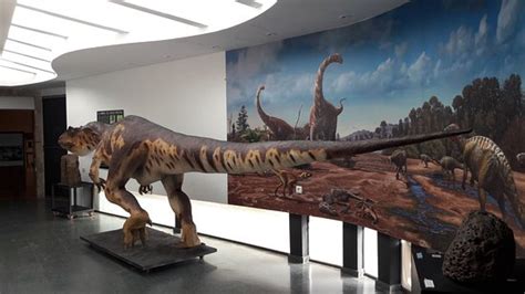 Museo de los Dinosaurios  Salas de los Infantes    Qué ...