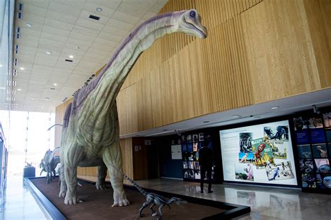 Museo de Paleontología de CLM: tras las huellas de los ...