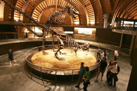 Museo del Jurásico de Asturias  MUJA  | El Comercio