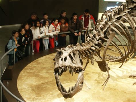 Museo Jurásico de Asturias | Actividades en familia