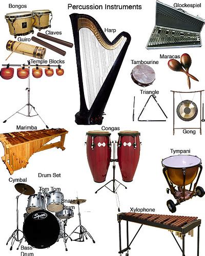 MUSICAL PERCUSSION INSTRUMENTS : PERCUSSION INSTRUMENTS ...