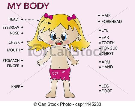 My body drawings   Search Clipart, Illustration, and EPS ...