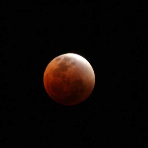 Mysterious Lunar Tetrad: Four Blood Moon Lunar Eclipses ...