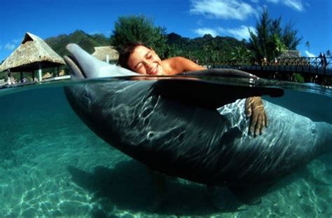Nadar con delfines en Isla Mauricio