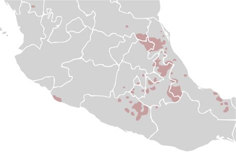 Náhuatl Wikipedia, la enciclopedia libre