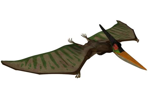 Names of All Flying Dinosaurs | Dinosaurs Pictures and Facts