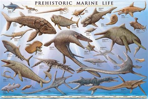 Names Of Prehistoric Marine Plants