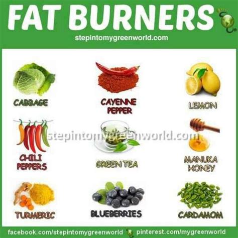 Natural Fat Burners | Healthy Living | Pinterest