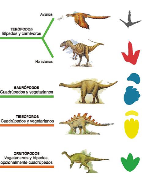 Naturaleza Cantábrica: Caminando entre dinosaurios