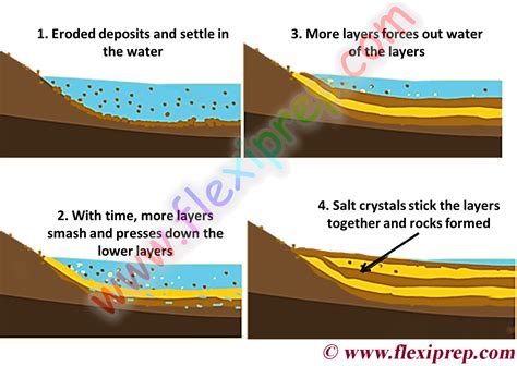 NCERT Class 10 Geography Solutions: Chapter 5 Minerals and ...