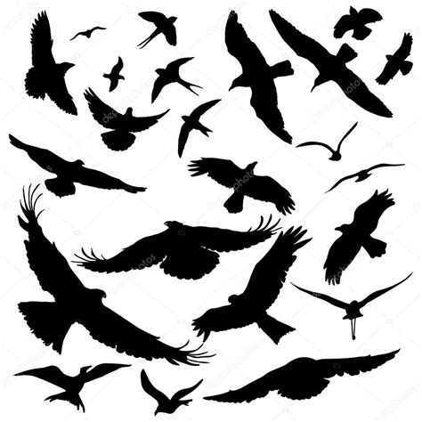 Negras siluetas de aves — Vector de stock © nikiteev #69291389