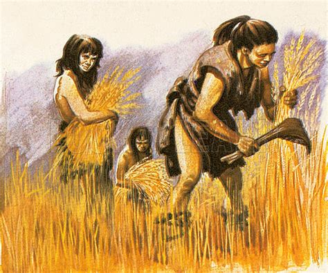Neolithic Age   Look and Learn History Picture Library