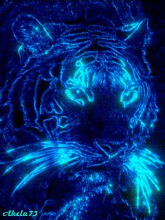 néon do tigre GIF   Download & Compartilhe em PHONEKY