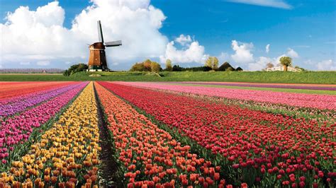 Netherlands | Feel The Planet