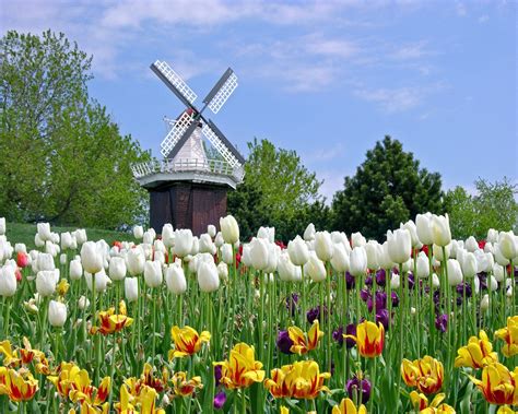 Netherlands – Tourist Attractions in Holland | Tourist ...