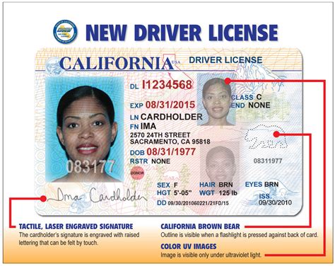 New California Drivers’ Licenses, ID Card Unveiled « CBS ...