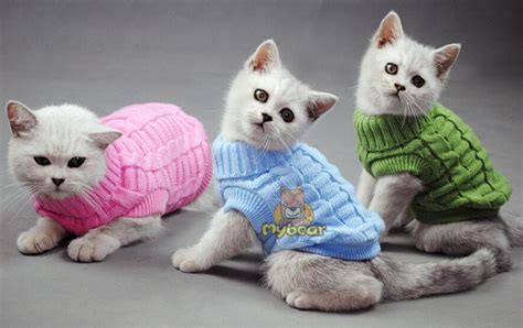 NEW Dog Cat Sweater Spagetti Color Warm Autumn Winter Dog ...