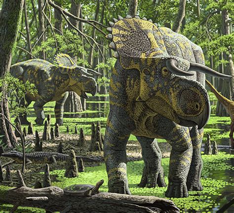 New Species of Dinosaur Found in Utah Was Triceratops ...