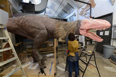 New York City museum explores dinosaur bird links ...