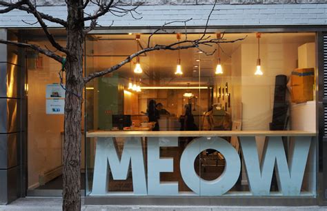New York City’s First Cat Cafe opens on the LES  PHOTOS ...