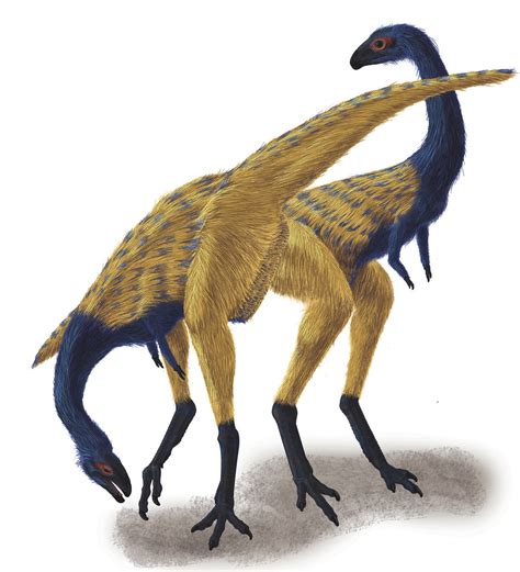 Newly Discovered Beaked, Bird like Dinosaur Tells Story of ...