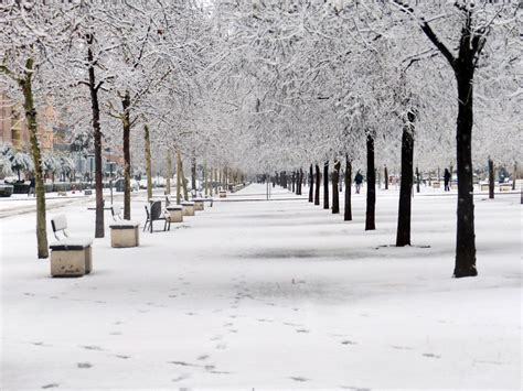 Nieve hoy.. | fotos de Paisajes naturales y urbanos