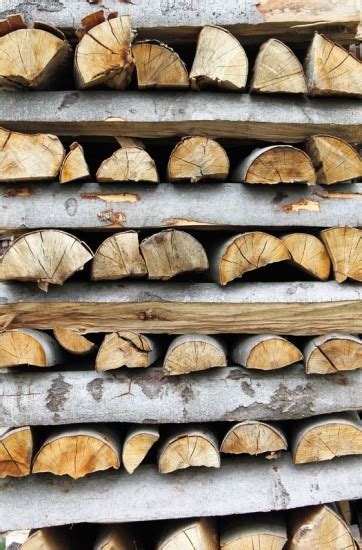 Nine Best Types of Firewood   The Blog at FireplaceMall