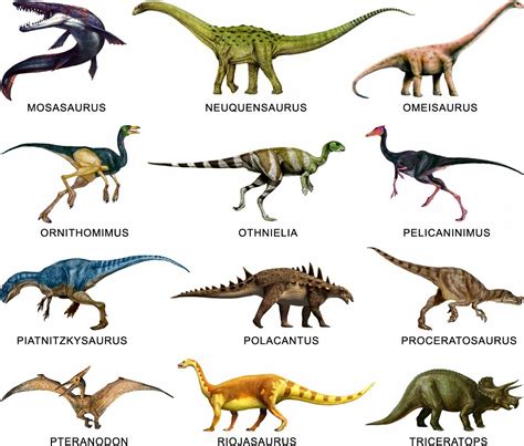 nombres de dinosaurios   Buscar con Google | Fiesta ...