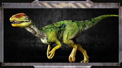 Nombres de dinosaurios carnívoros: Los 5 más temibles