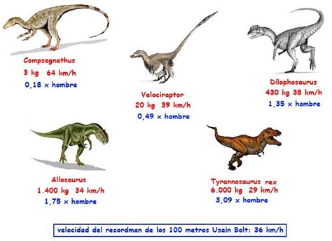 Nombres de dinosaurios con imagenes   Imagui | Animals ...